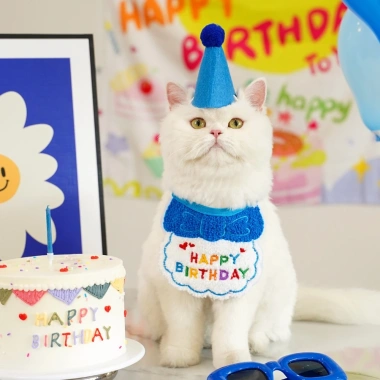 Bộ Trang Phục Sinh Nhật Dễ Thương Cho Mèo và Chó Nhỏ - Đồ Party Giá Ưu Đãi 110k 10 Bộ Trang Phục Sinh Nhật Dễ Thương Cho Mèo và Chó Nhỏ - Đồ Party Giá Ưu Đãi 110k 10