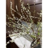 Bó tuyết mai siêu nụ dài 1m Trang trí Tết, decor nhà cửa, cắm lọ, setup studio, chụp ảnh, quà 23.000đ 5