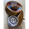 Bộ ủ trà & bình trà 1 lít - Thiết kế sang trọng, tiện lợi, giá chỉ 270.000 VND