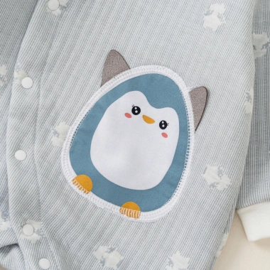 Body sơ sinh dài tay trần bông Derosa Kids 0-12 tháng - Giá chỉ 229.000đ 7