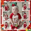 Bodysuit bánh chưng, bánh tét Tết cotton thoáng mát cho bé trai, bé gái - 69.000₫ 2