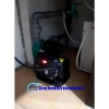 Bơm Tăng Áp Biến Tần PRODN 1WZB-15Z 370W 2.025 - Thông minh, tiết kiệm điện, tăng áp lực nước, 3.3 triệu 4