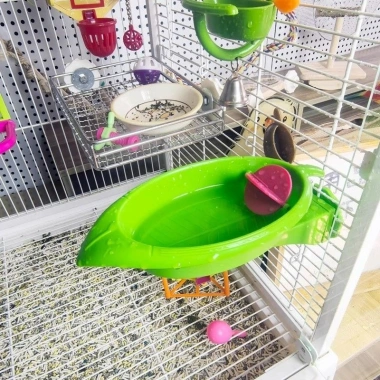 Bồn tắm lá vẹt ABS treo lồng chim – Đồ dùng đa năng, giá ưu đãi 186.088₫