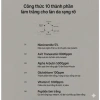BONAJOUR Kem Dưỡng Sáng Da Ultimate Glow Cream 10 Thành Phần Niacinamide 5% Axit Tranexamic Glutathione Alpha‑Arbutin Vitamin C Giá Ưu Đãi 506.000 VND 5