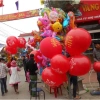 Bóng bay thúng 20 quả - Bóng tròn to Chúc Mừng Năm Mới Hoa Mai đủ màu, siêu dai, giá 59.800₫ 7