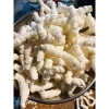 Bỏng Bo Vi Đậu Xanh Không Đường 500g - Giá chỉ 35.000đ, Giảm Đến 44.100đ