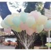 Bóng cao su nhũ Pastel Macaron trang trí sinh nhật và sự kiện đẹp giá chỉ 7.670 7