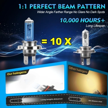 Bóng Đèn Halogen 100W 6.000K 20.000LM Canbus Không Lỗi Ford Ranger T6 2.012‑2.024 7