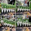 Bóng đèn LED MPE E27 3W‑15W sáng trắng hoặc vàng, tiết kiệm điện, giảm giá 20% chỉ 23.738 VND 2