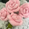 Bông Hoa Hồng Khổng Lồ Đóng Thùng - Bó Hoa Hồng Lãng Mạn, Quà Tặng Bạn Gái, Thân Cây Đứng, Giá Ưu Đãi 169k 7