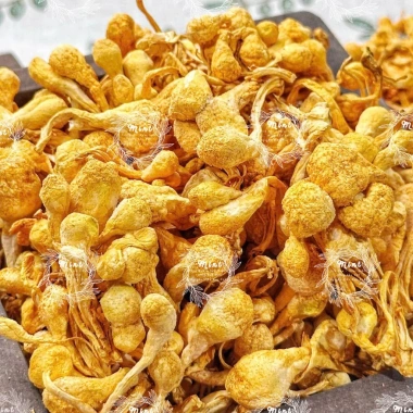 Bông Nấm Đông Trùng Hạ Thảo Sấy Thăng Hoa 500g - Giá 70.000, tăng đề kháng 3 Bông Nấm Đông Trùng Hạ Thảo Sấy Thăng Hoa 500g - Giá 70.000, tăng đề kháng 3