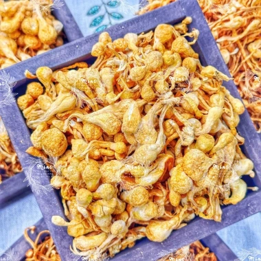 Bông Nấm Đông Trùng Hạ Thảo Sấy Thăng Hoa 500g - Giá 70.000, tăng đề kháng