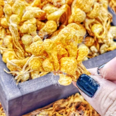 Bông Nấm Đông Trùng Hạ Thảo Sấy Thăng Hoa 500g - Giá 70.000, tăng đề kháng