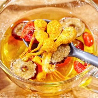 Bông Nấm Đông Trùng Hạ Thảo Sấy Thăng Hoa 500g - Giá 70.000, tăng đề kháng 7 Bông Nấm Đông Trùng Hạ Thảo Sấy Thăng Hoa 500g - Giá 70.000, tăng đề kháng 7