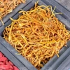 Bông Nấm Đông Trùng Hạ Thảo Sấy Thăng Hoa 500g - Giá 70.000, tăng đề kháng 10