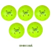 Bóng Pickleball ACE PRO 40 lỗ PE - Chất liệu bền, Giá chỉ 28.000₫ giảm mạnh 9