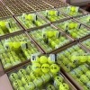 Bóng Pickleball FACOLOS F-PRO GEN 2 Chính hãng USAPA - Giá 139.500 VND