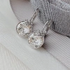 Bông tai Swarovski BELLA V - Hoa tai đá pha lê sang trọng, nữ tính, giảm 21% 770.000₫ 2