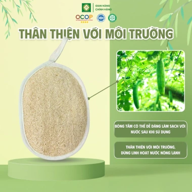 Bông Tắm Xơ Mướp 2 Mặt KB Ecolife 10x14cm - Sạch Sâu, Dưỡng Da Mịn Màng, Thân Thiện Môi Trường, Giá 35.000 4