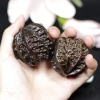 Bóng thể dục hạt óc chó - Tăng sức khỏe, cải thiện vận động, giảm giá 82.016₫ 7