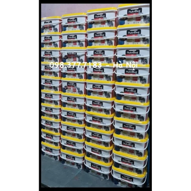 Bột A21 200g cao cấp cho Vẹt và Chim Yến - Dinh dưỡng tối ưu, giá ưu đãi 130.000 VND 3