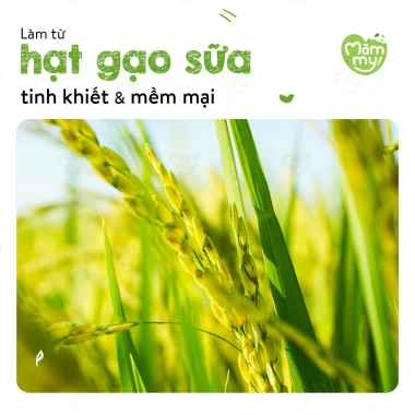 Bột ăn dặm trái cây mùa hè Mămmy sữa chuối đào vitamin cho bé yêu 140g
