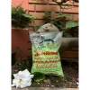 Bột báng lá dứa Thái Lan 400gr - Hương thơm ngọt ngào, giá chỉ 45.000đ