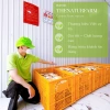 Bột cam thảo nguyên chất Thenaturfarm 300gr giảm mụn, dưỡng ẩm, mờ thâm, trắng da 31.000₫ 7