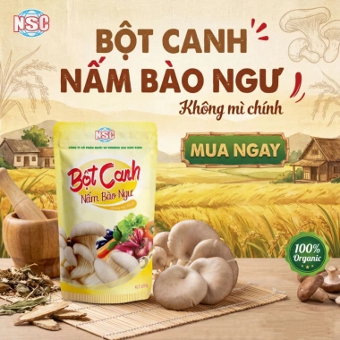 Bột canh nấm bào ngư cao cấp 200g không mì chính - Giá ưu đãi 39.479đ Muối & TM Nam Định