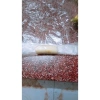 Bột chiên bánh chuối, ngô, khoai k cần ủ – Giòn, xốp, thơm lừng, màu đẹp, giá 23.000₫ 5