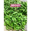 Bột Chuối Xanh QNA Farm 100% Nguyên Chất - Giàu Vitamin, Chất Sơ, 100gr - 65.000 VND 6
