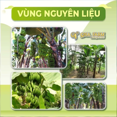 Bột Chuối Xanh QNA Farm 100% Nguyên Chất - Giàu Vitamin, Chất Sơ, 100gr - 65.000 VND