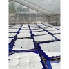 Bột Gạo Sa Đéc Đặc sản Truyền thống - Dinh dưỡng, Giá giảm đặc biệt 25.000 VND 2