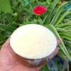 Bột Gelatin 500g 250 Bloom - Độ bền cao, giá ưu đãi 130k, phù hợp làm bánh