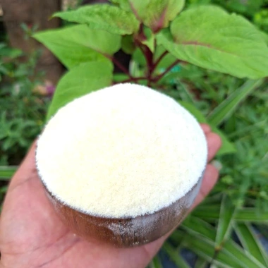 Bột Gelatin 500g 250 Bloom - Độ bền cao, giá ưu đãi 130k, phù hợp làm bánh 2