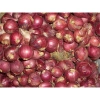 Bột hành tím nguyên chất xay mịn 50g - Gia vị tẩm ướp, nấu ăn ngon, đậm vị 4