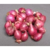 Bột hành tím nguyên chất xay mịn 50g - Gia vị tẩm ướp, nấu ăn ngon, đậm vị 5