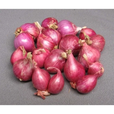Bột hành tím nguyên chất xay mịn 50g - Gia vị tẩm ướp, nấu ăn ngon, đậm vị