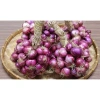 Bột hành tím nguyên chất xay mịn 50g - Gia vị tẩm ướp, nấu ăn ngon, đậm vị 6