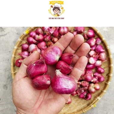 Bột hành tím nguyên chất xay mịn 50g - Gia vị tẩm ướp, nấu ăn ngon, đậm vị