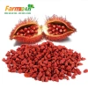 Bột hạt điều đỏ nguyên chất 100% không phẩm màu, thơm ngon – 21.000đ I Farm24h 9