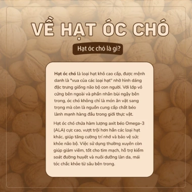 Bột hạt óc chó Xuân Sen 100 dinh dưỡng, giảm cân, ăn kiêng, mẹ bầu - chỉ 100k 5 Bột hạt óc chó Xuân Sen 100 dinh dưỡng, giảm cân, ăn kiêng, mẹ bầu - chỉ 100k 5