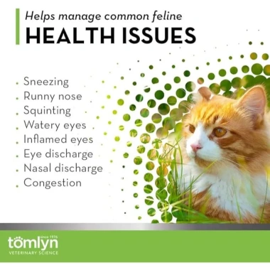 Bột hỗ trợ miễn dịch TOMLYN Immune Support 100g cho mèo - Giá ưu đãi 636.200 VND