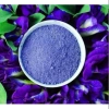 Bột hoa đậu biếc sấy lạnh 100g nguyên chất – dùng cho xôi, mứt dừa, màu xanh dương 8
