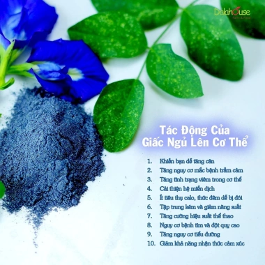 Bột Hoa Đậu Biếc Tự Nhiên 20 Gói 3g - DalaHouse Xanh Sam Organic Giảm Cân Hiệu Quả 4 Bột Hoa Đậu Biếc Tự Nhiên 20 Gói 3g - DalaHouse Xanh Sam Organic Giảm Cân Hiệu Quả 4