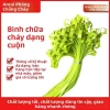 Bột khô bình chữa cháy 4kg/8kg - Dây buộc cáp, dây nhựa, F5DE - Giá chỉ 107.744₫