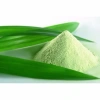Bột lá dứa 500gr nguyên chất thơm lá nếp - Gia vị làm bánh, tạo màu, giảm giá 120k 7