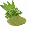 Bột lá dứa 500gr nguyên chất thơm lá nếp - Gia vị làm bánh, tạo màu, giảm giá 120k 9