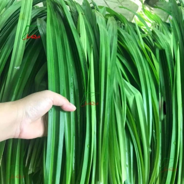 Bột lá nếp lá dứa nguyên chất 50g – Màu xanh cho bánh, thạch, trà sữa – Giá 28.999đ 4