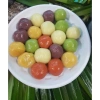 Bột lá nếp lá dứa nguyên chất 50g – Màu xanh cho bánh, thạch, trà sữa – Giá 28.999đ 6